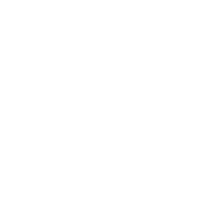 PICOAI