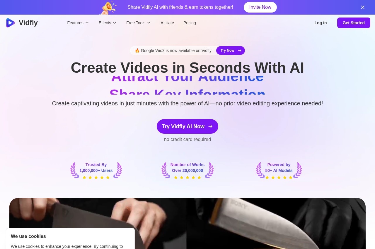 Vidfly