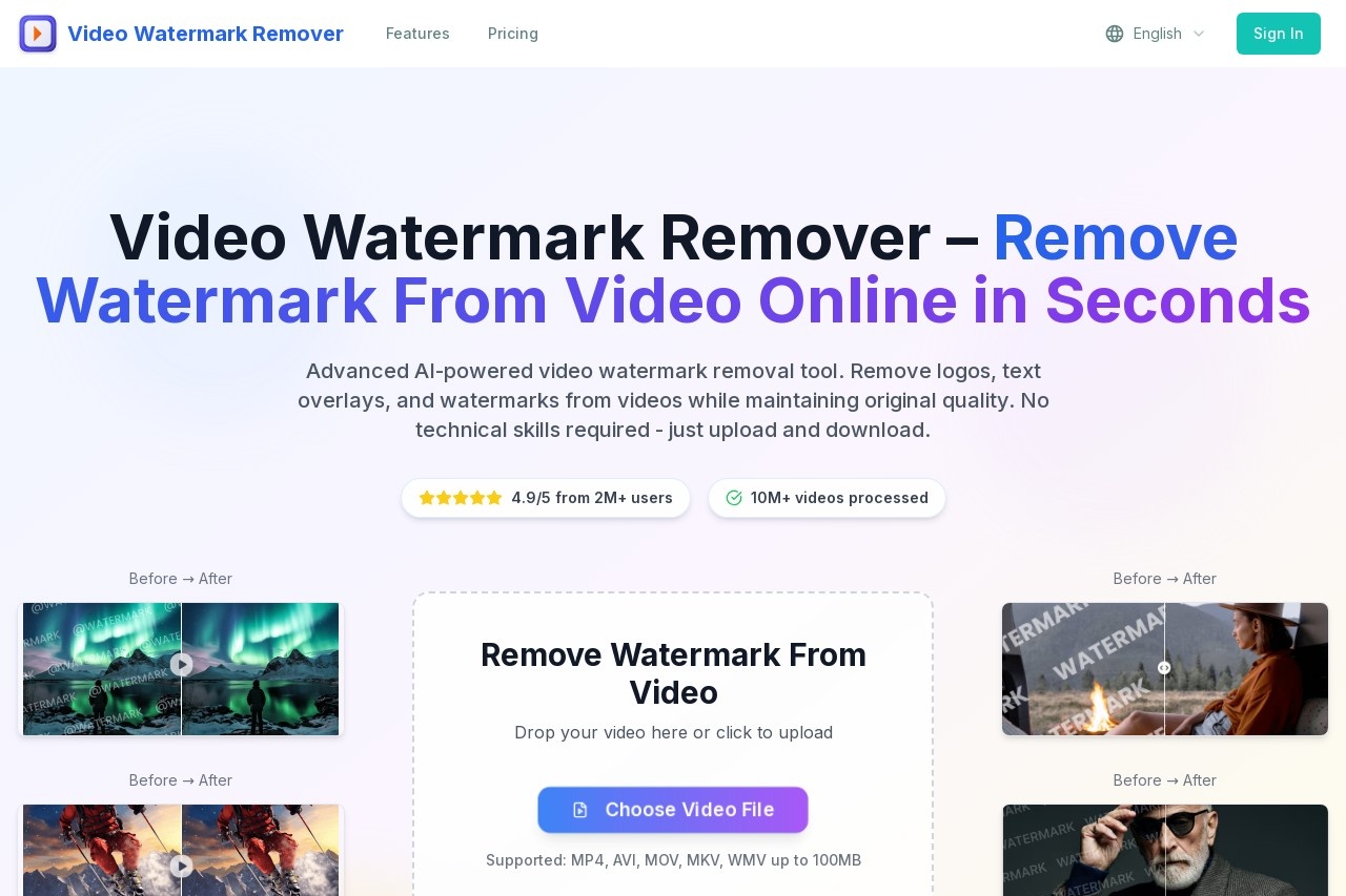 Video Watermark Remover