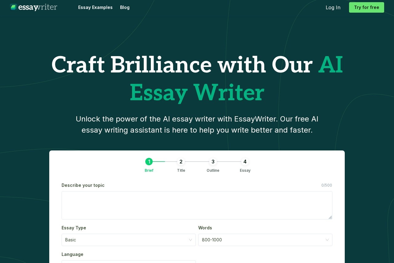 EssayWriter